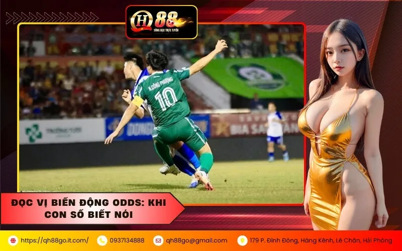 Đọc vị biến động Odds Khi con số biết nói